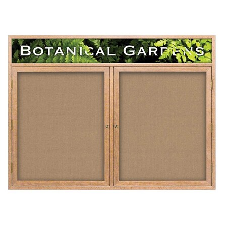 Open Faced Traditional Corkboard,60x36